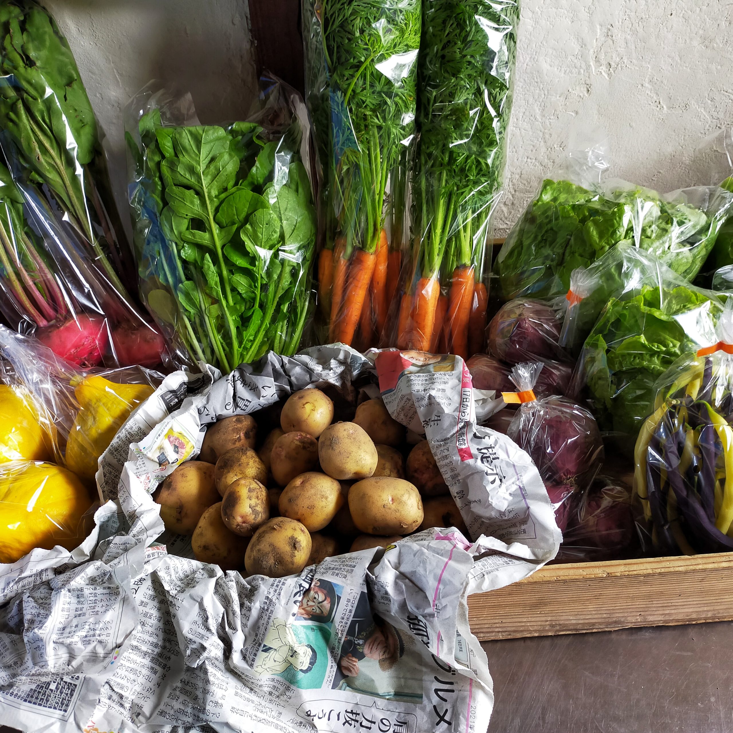 野菜セットのご注文 | 山菜海ファーム