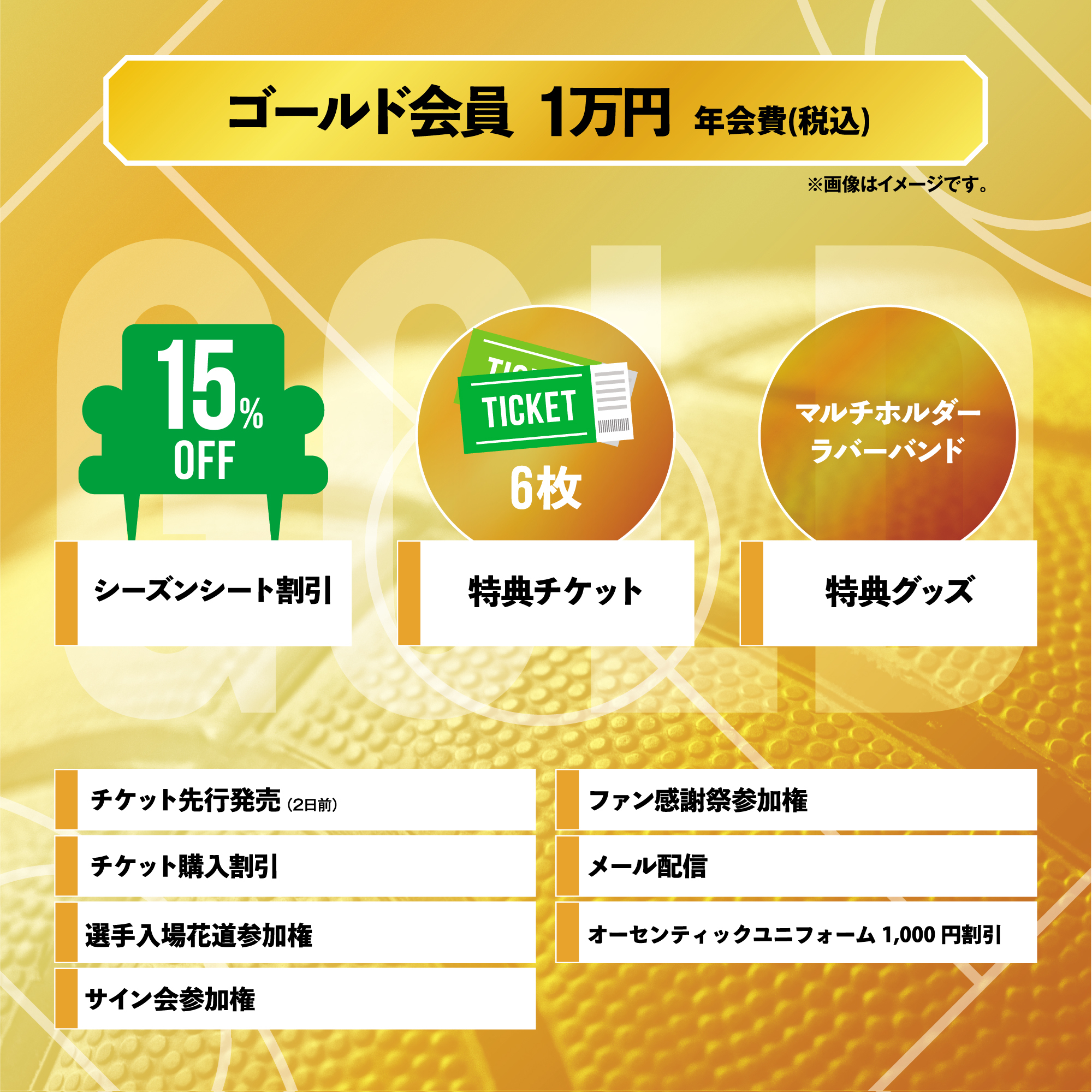 2023-24シーズン 「エクセレンスクラブ」概要決定！(※9/27更新) | 横浜