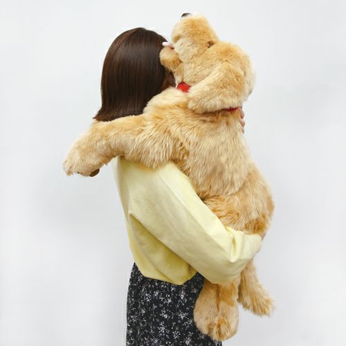 ゴールデンレトリバー L | 雛人形（ひな人形）・五月人形の吉徳