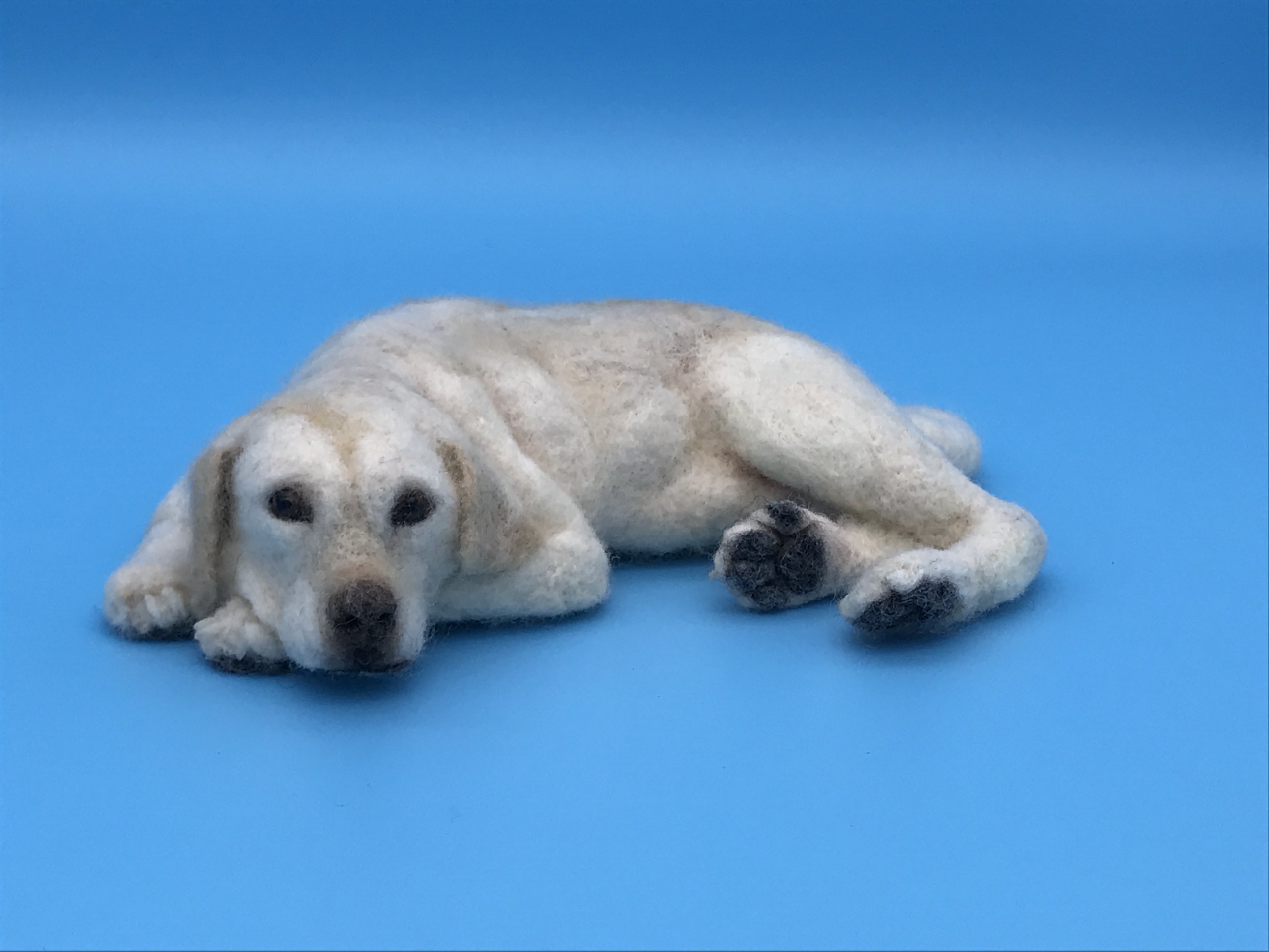 羊毛フェルトのラブラドールレトリバー。先生の作品を模倣しました