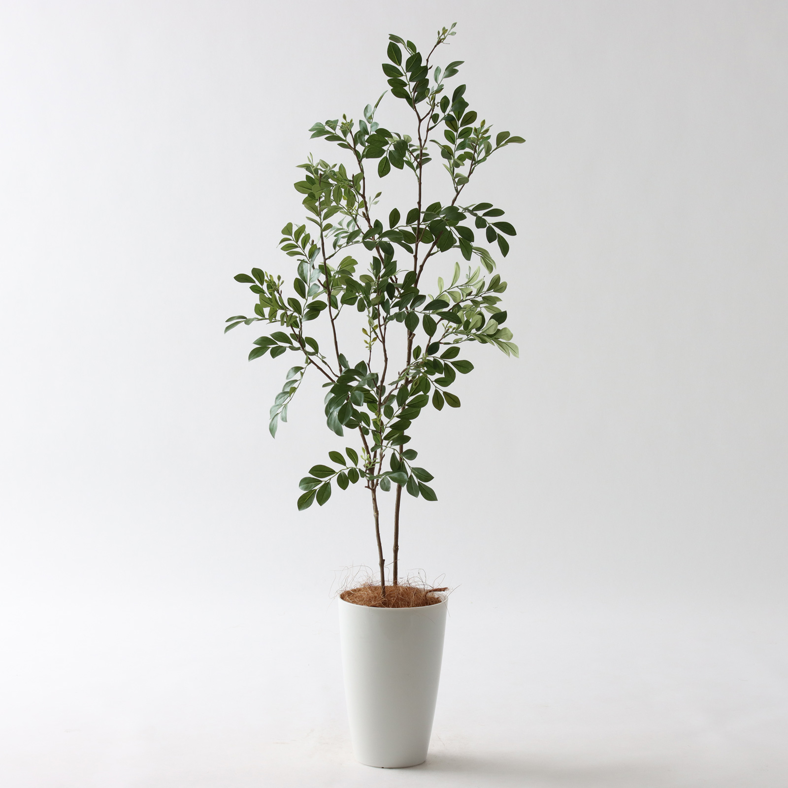 No3545 プレミアム光触媒フェイクグリーン 「繊細な葉 × すっきり2本立