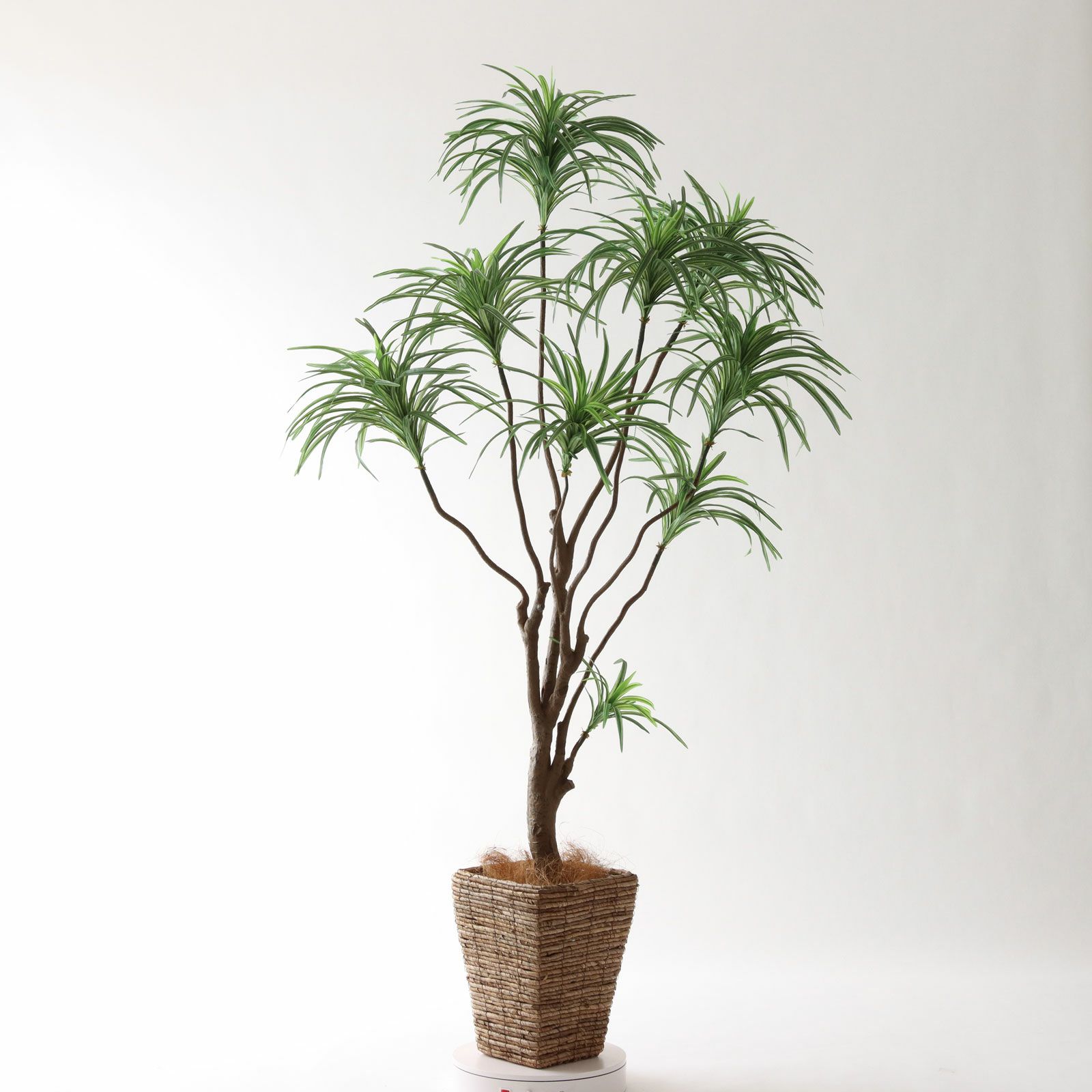 No8182 プレミアム光触媒フェイクグリーン「枝を自由に曲げて × 空間に