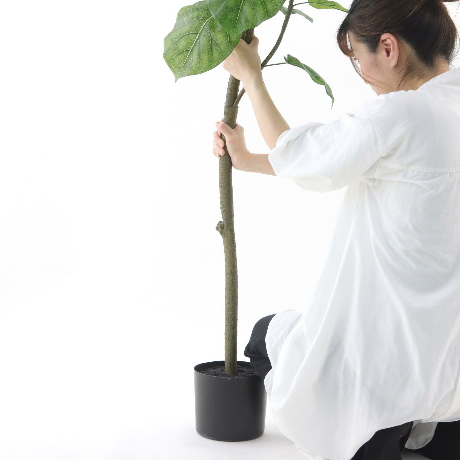 No9267 プレミアム光触媒フェイクグリーン「広がる葉 × ボリューム満点