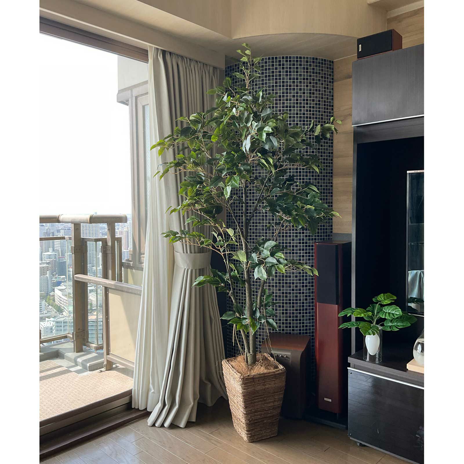 No9277 プレミアム光触媒フェイクグリーン 「自然に広がる枝葉 × 組立