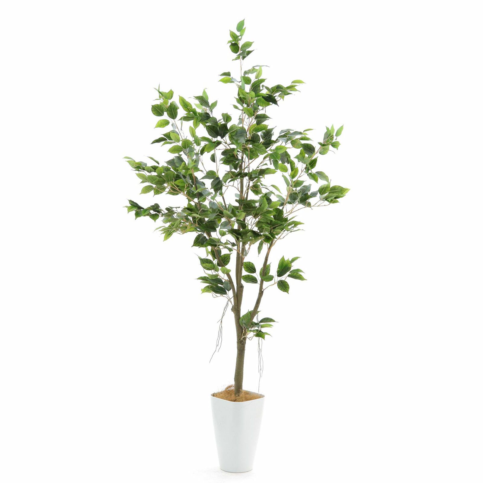 No9276 プレミアム光触媒フェイクグリーン 「繊細な葉の重なり × 自然