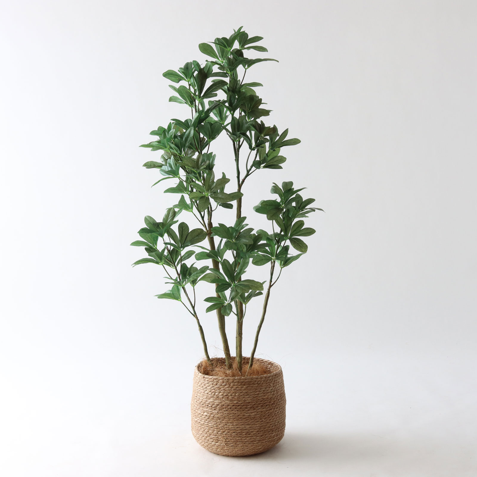 No8433 プレミアム光触媒フェイクグリーン 「丸みのある葉 × ふんわり