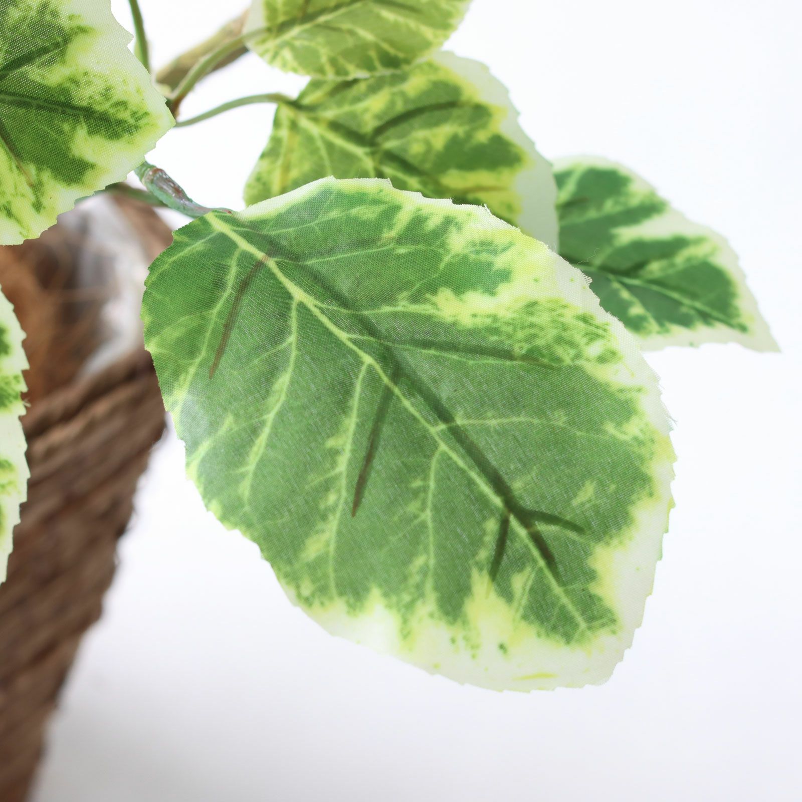 No8437 プレミアム光触媒フェイクグリーン 「斑入りの葉が揺れる