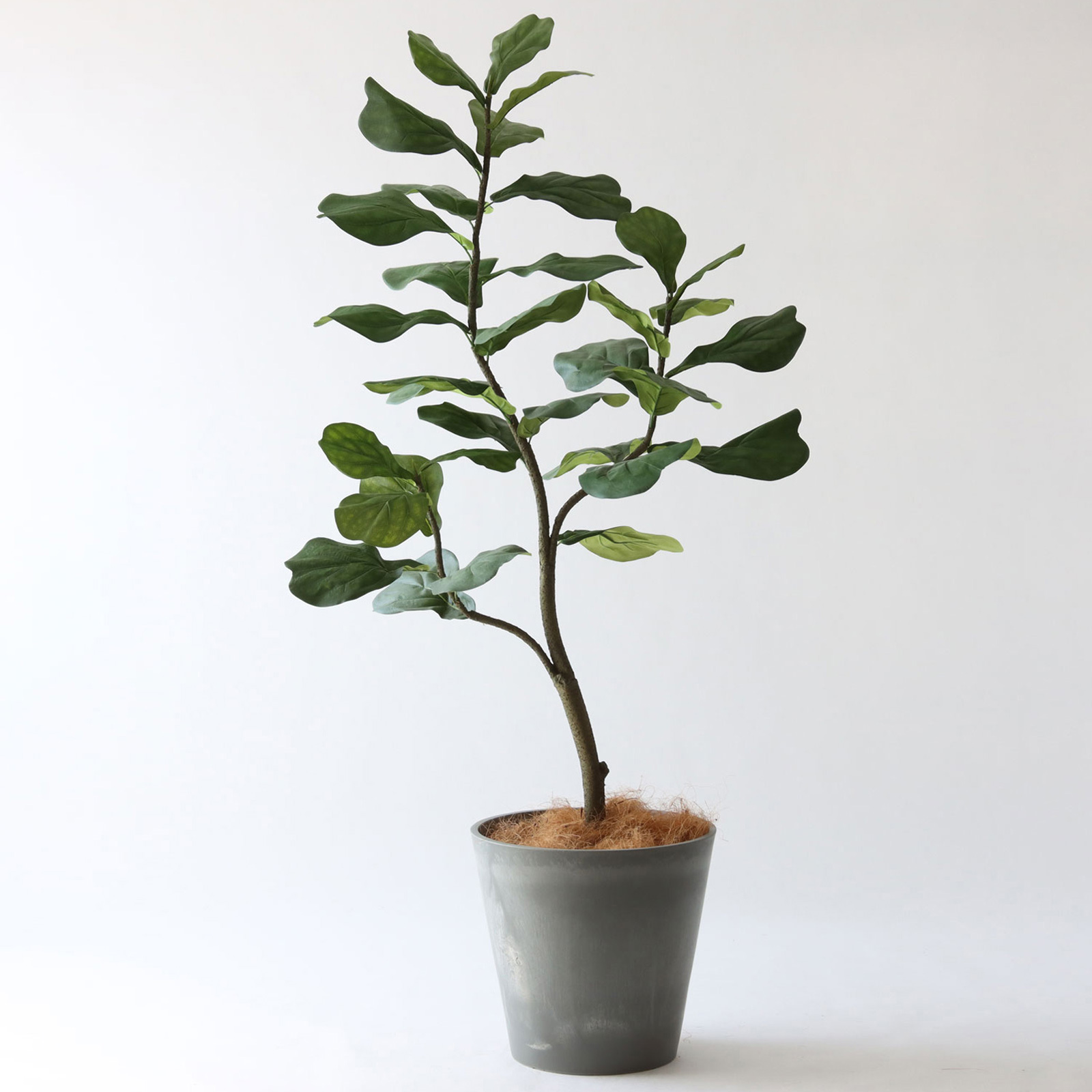 高さ150-180cm | プレミアム光触媒フェイクグリーン 造花ドットコム