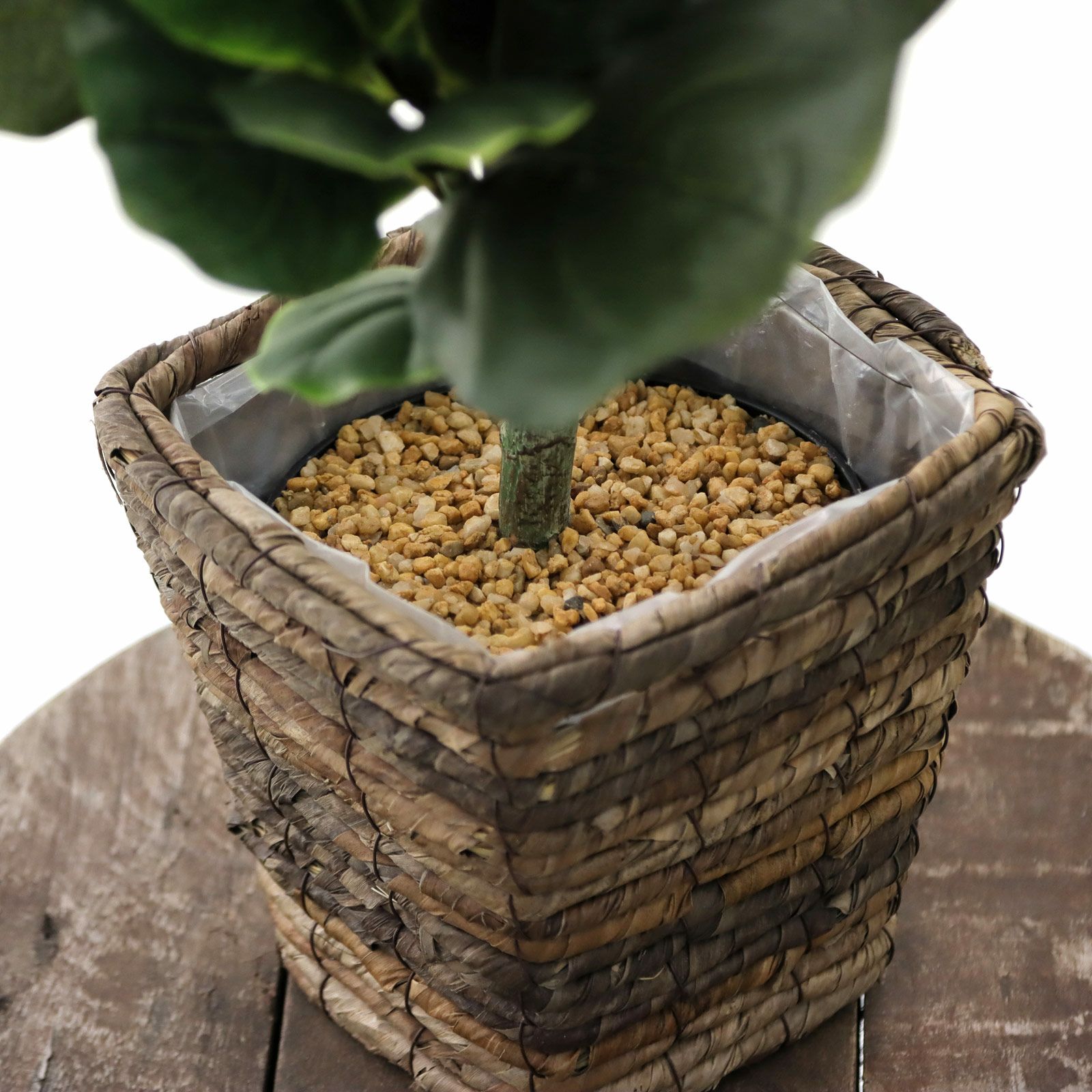 No8440 プレミアム光触媒フェイクグリーン 「大きな葉が魅せる存在感