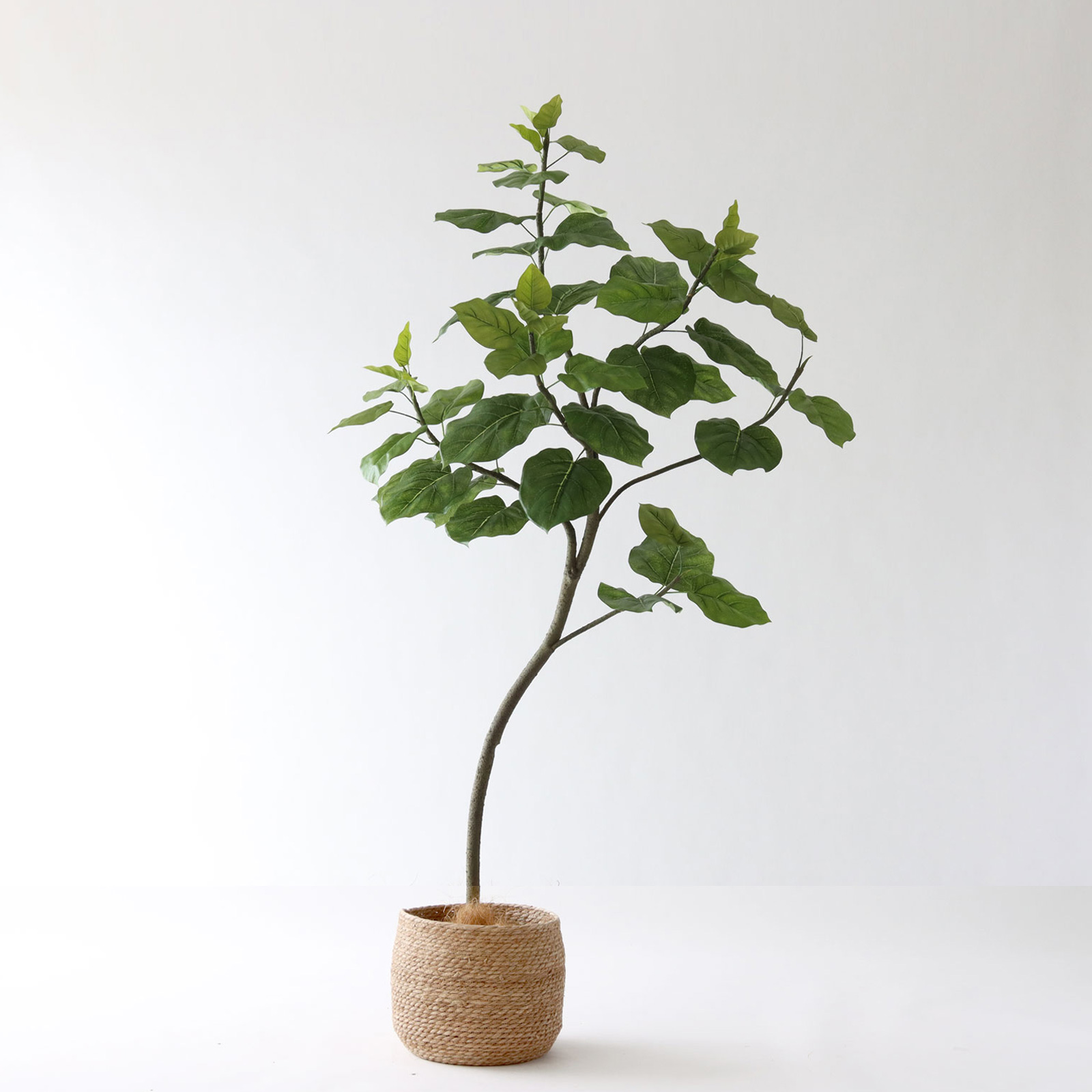 高さ180cm- | プレミアム光触媒フェイクグリーン 造花ドットコム zouka.com