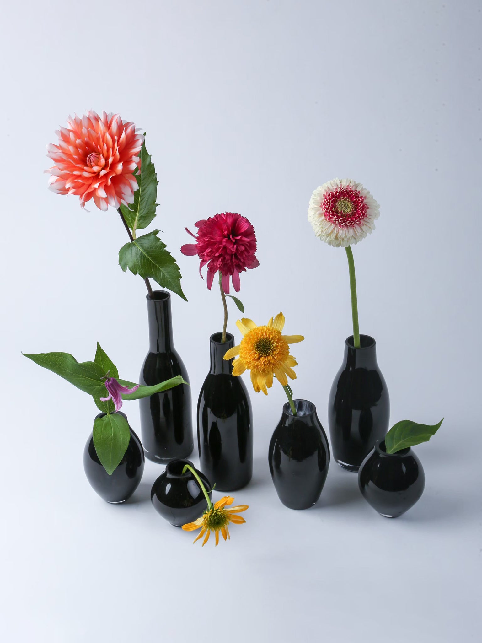 Tse＆Tse associees キューブロングタイプ Web_1920_65_2x_55f7dcdd-b24c-