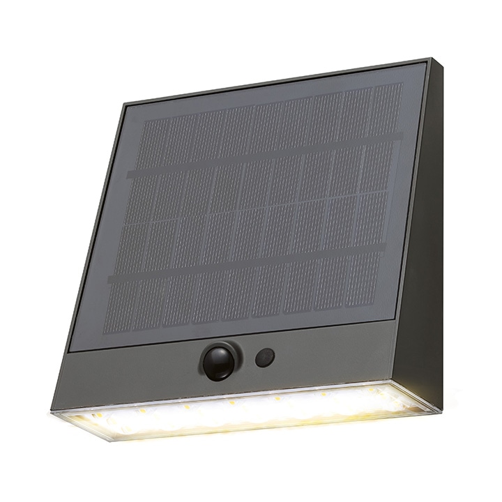 No.8 アルクトゥルスシーライト No.8 アルクトゥルスシーライト