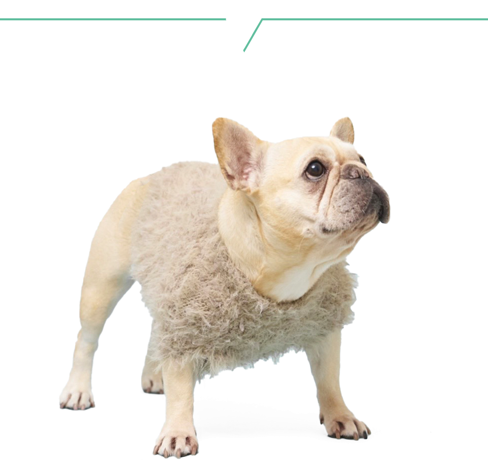 9/15(月祝)飛行船シアターにて開催「高尾奏音Birthdayparty2025 with