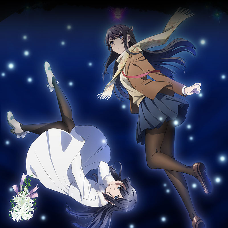 青春ブタ野郎はゆめみる少女の夢を見ない 販促ポスター 青春ブタ野郎は