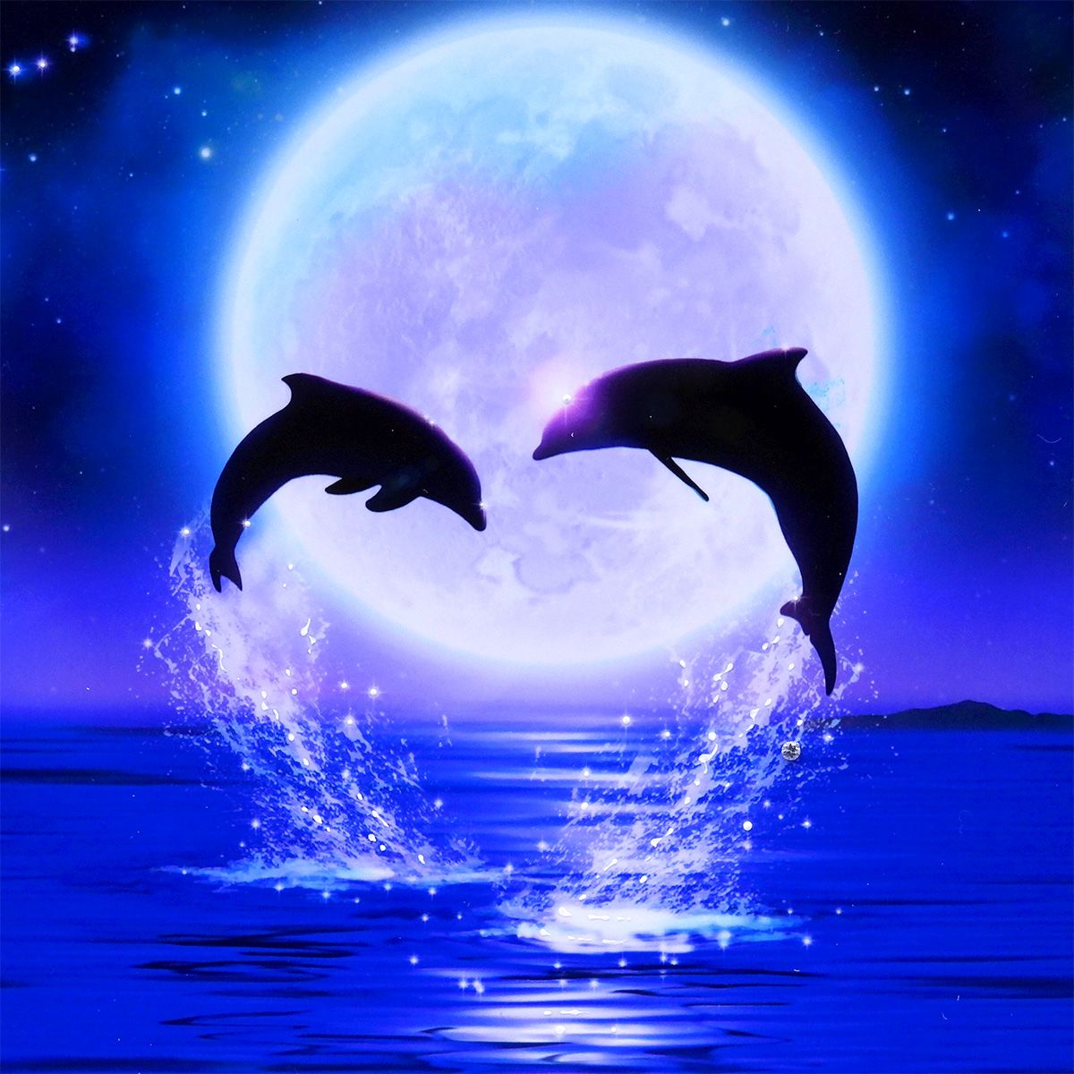 6329 ラッセン○シークレット リーフ イルカ サイン入り マリンアート