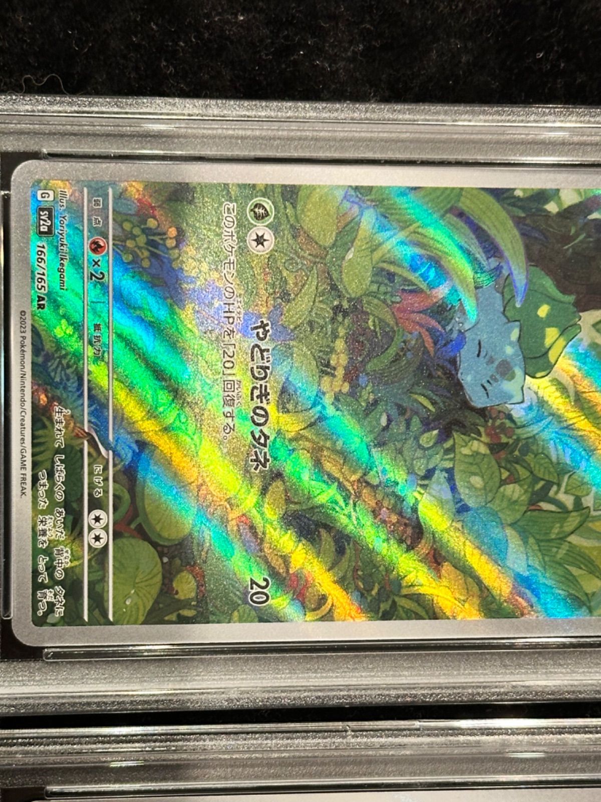 連番〔PSA10〕フシギダネ【AR】{166/165} [その他] 〔PSA10〕ヒトカゲ