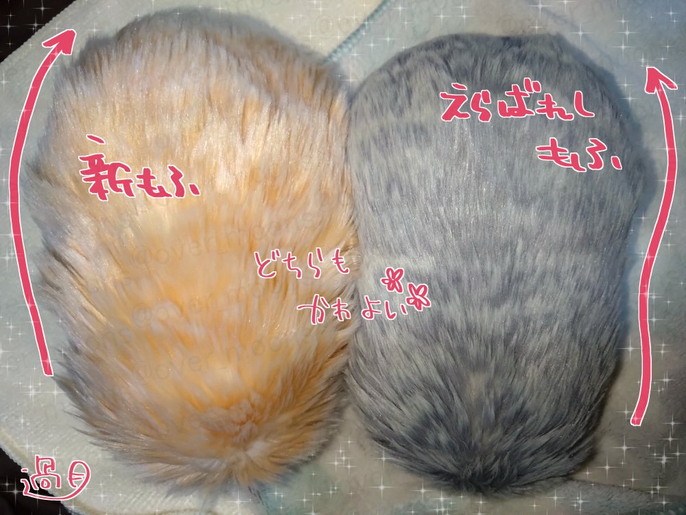 クラファン版、カシオ版 Moflinの特徴（簡易まとめ）｜過月