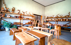 無垢 一枚板テーブル シオジ材 ｜ 製品案内｜新井木工所では一枚板