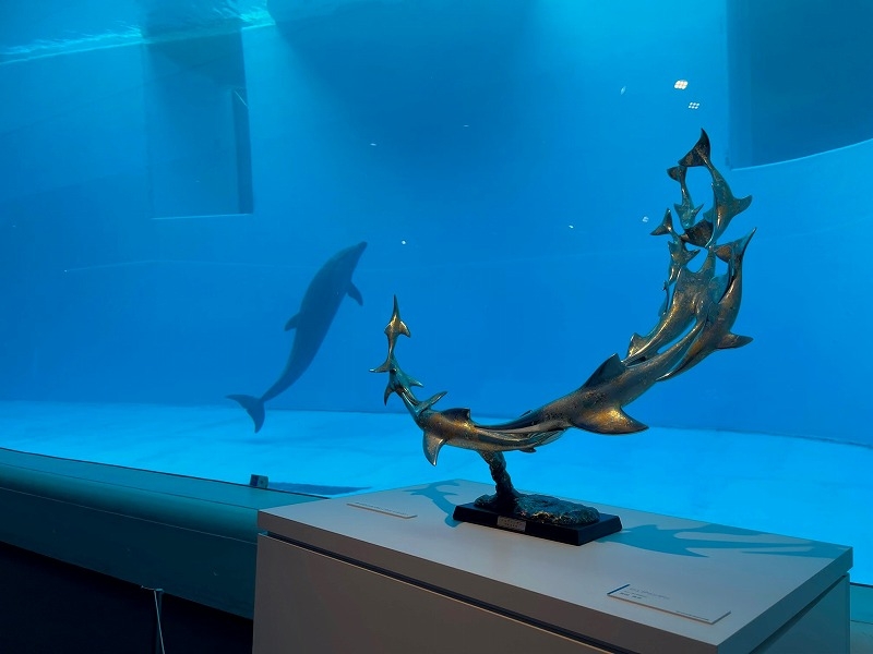 イルカに会いに「うみがたり」へ行ってきました日経アートからの