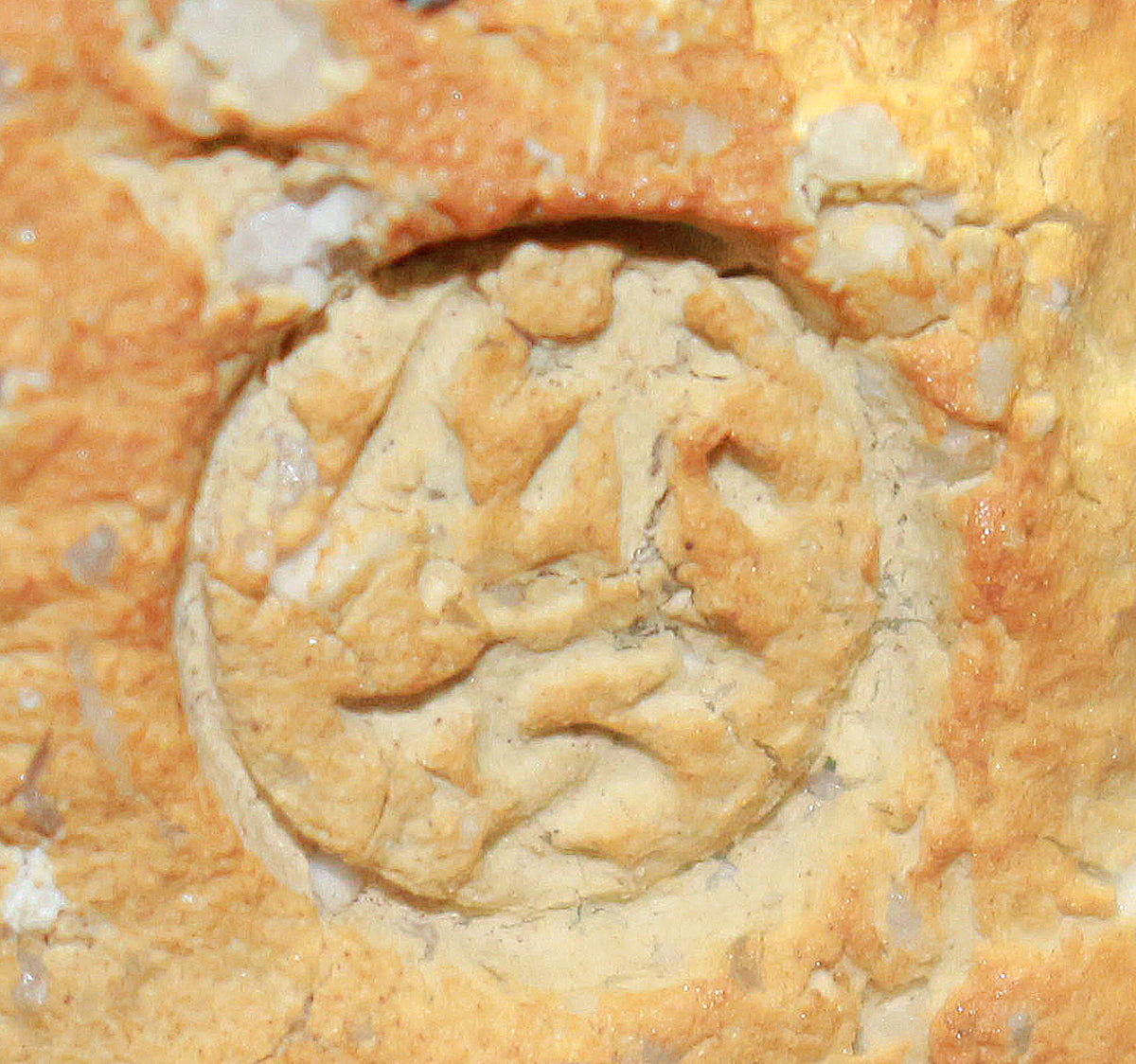 25775 人間国宝 11代三輪休雪 萩焼盃（印銘） MIWA Kyusetsu