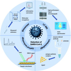 Enhancing the understanding of SARS-CoV-2 protein with structure