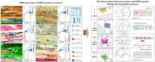 Contribution of dynamic recrystallization mechanism to the