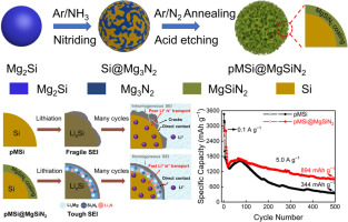 High-conductivity and elasticity interface consisting of Li-Mg
