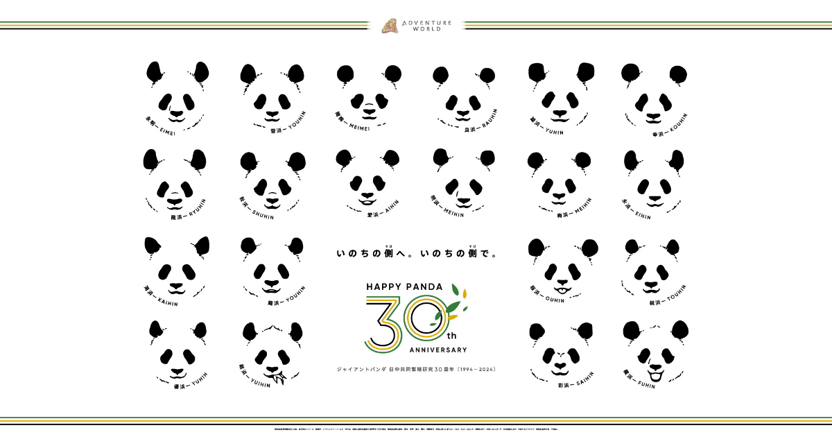 HAPPY PANDA 30th｜30年の感謝とパンダの未来を描く6ヶ月