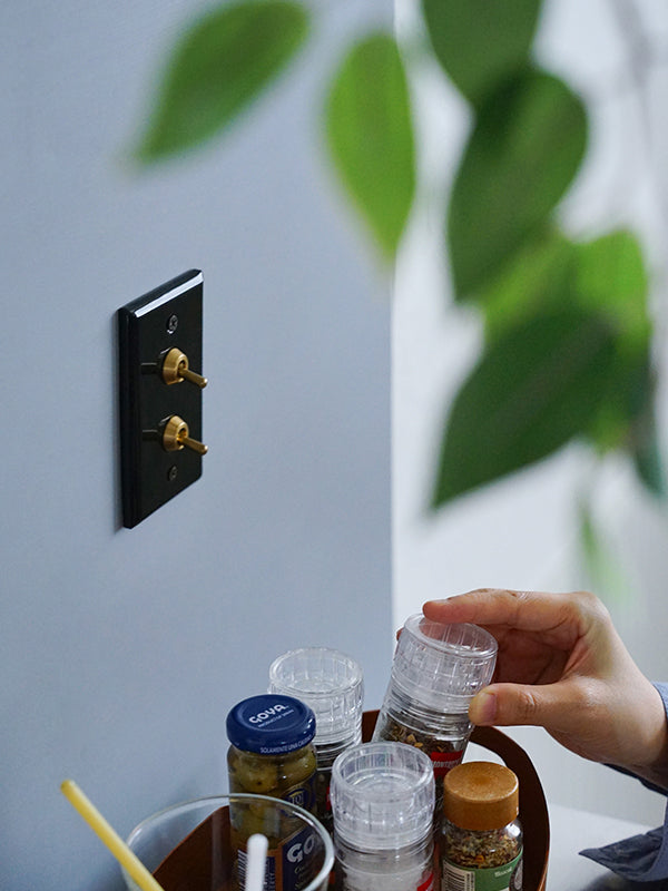 セラミックプレート2トグルスイッチ ブラック | AXCIS ONLINE