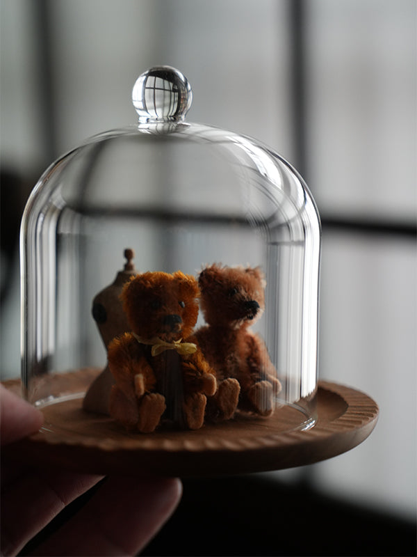 ガラスドーム100 | AXCIS ONLINE