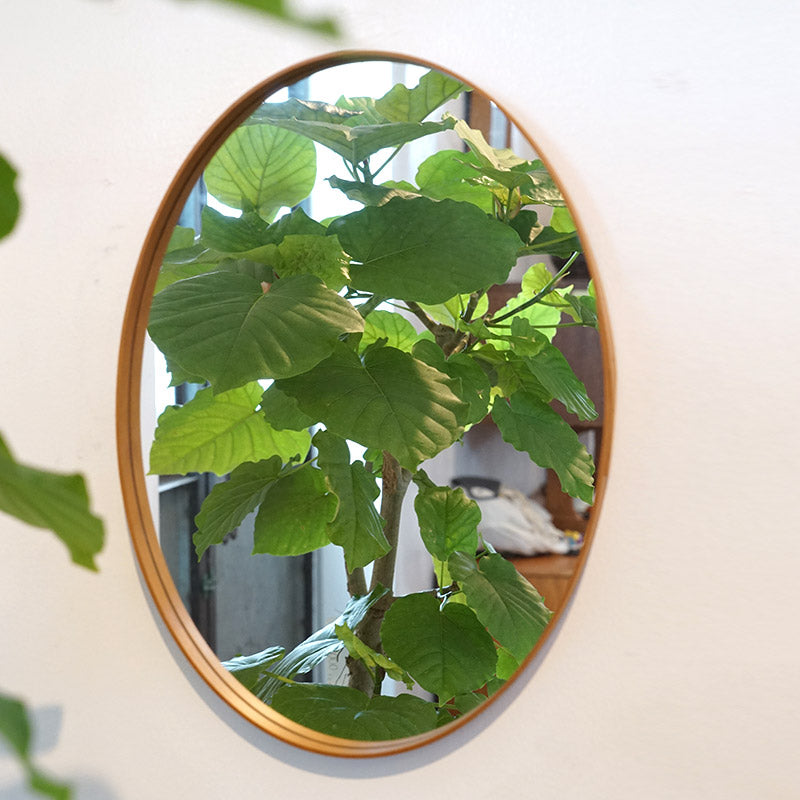 シェーカーオーバルミラーL | AXCIS ONLINE