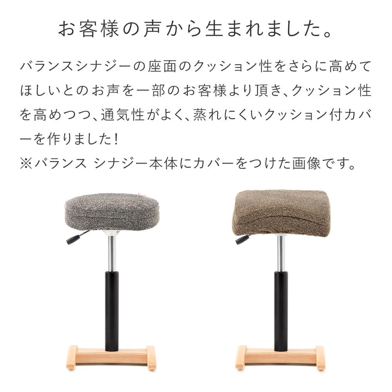 バランス シナジー専用｜シックカバー クッションありタイプ