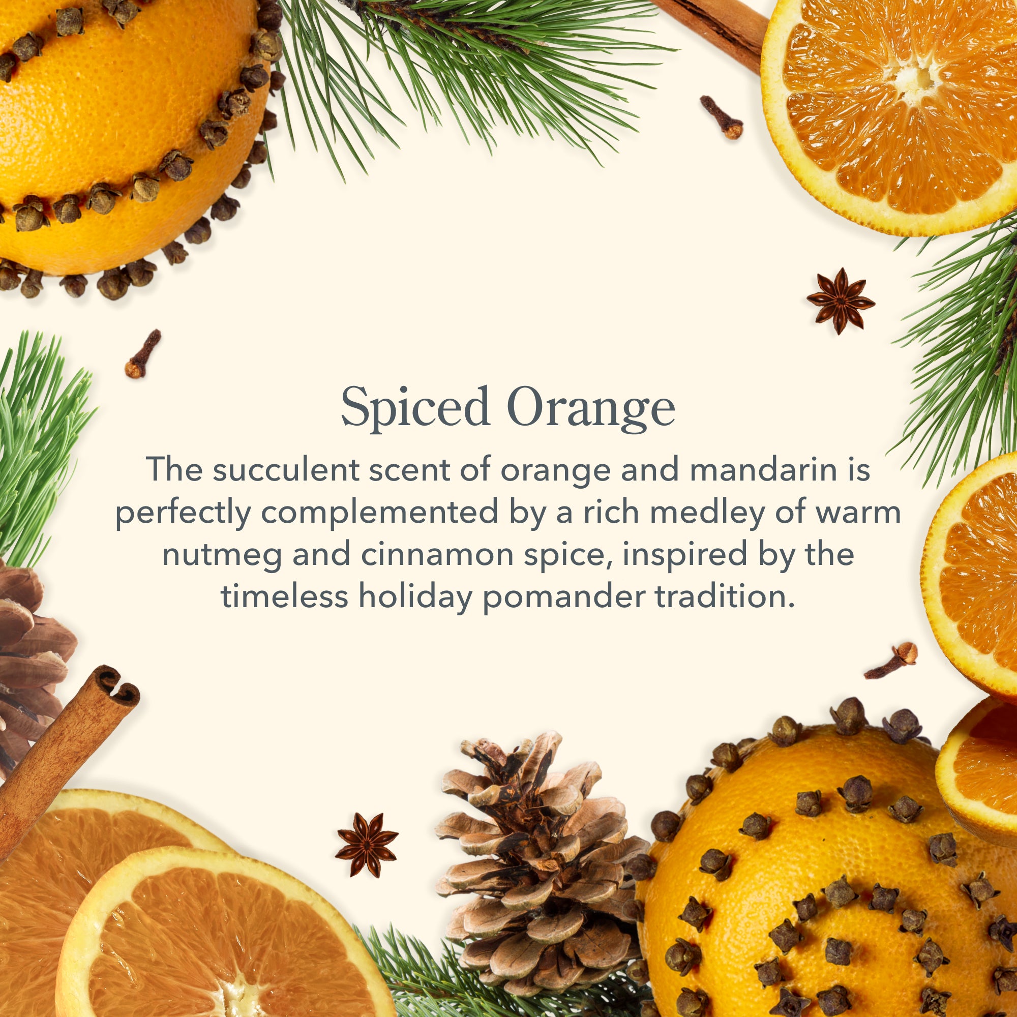 Spiced Orange Hand Cream