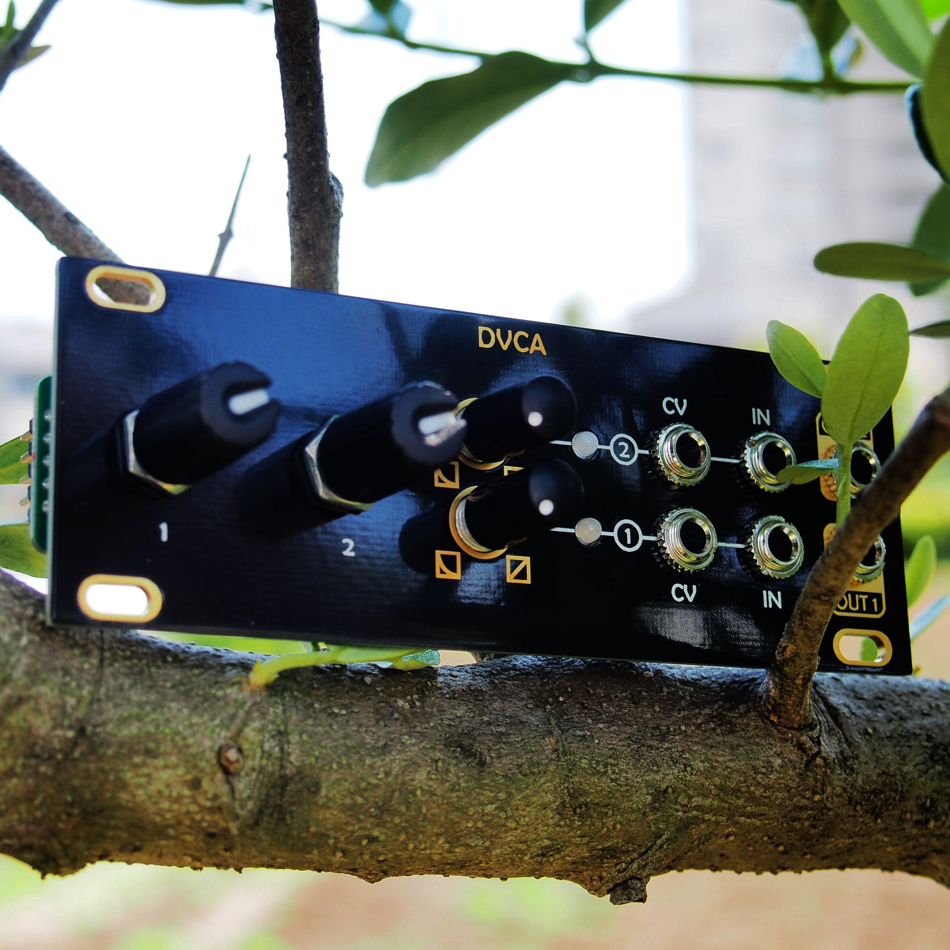 DVCA (1U Intellijel) – beatsville