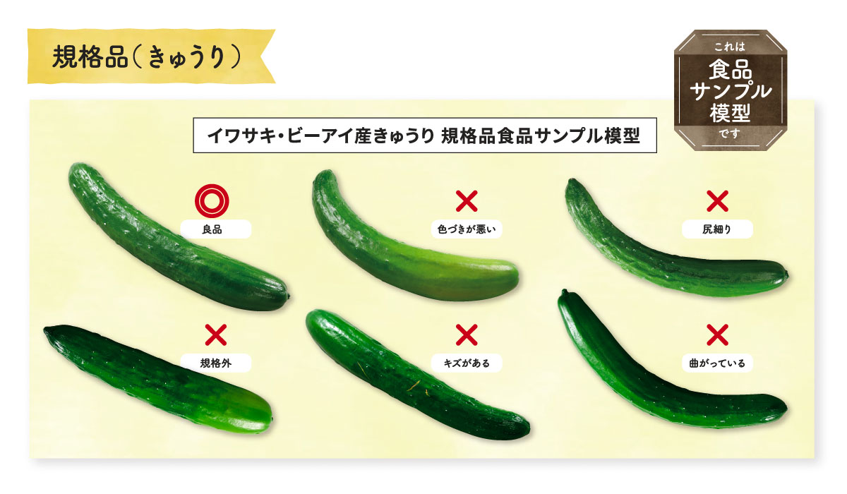 各選別工程の出荷基準として – 食品サンプル模型「事例集」