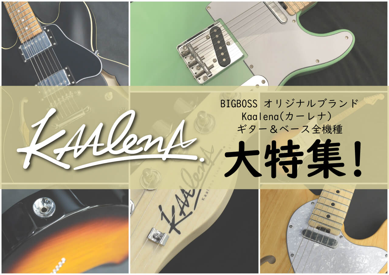 さあ、楽器を始めよう!! KAALENA大特集!! | BIGBOSS オンラインマーケット