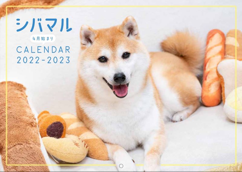 AKKA様❤マルチーズ 柴犬 ピクニック オブジェ♡ AKKA様❤マルチーズ