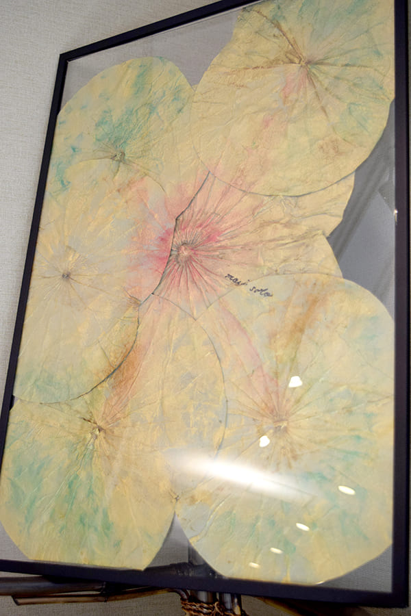 作品紹介 蓮の葉 インド菩提樹 アクリルフレーム｜ボタニーペイン