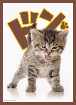 ブロッコリーキャラクタースリーブ「子猫」リバイバル：【公式