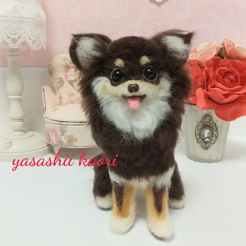 羊毛フェルト ロングコートチワワ チョコタン チワワぬいぐるみ チワワ