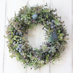 ネイティブフラワー：ドライアンドラ フォルモーサのリース リース