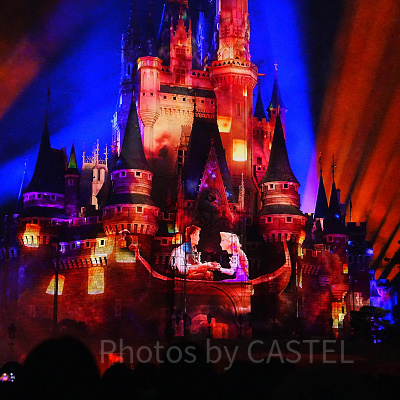 塔の上のラプンツェル| キャステル | CASTEL ディズニー情報