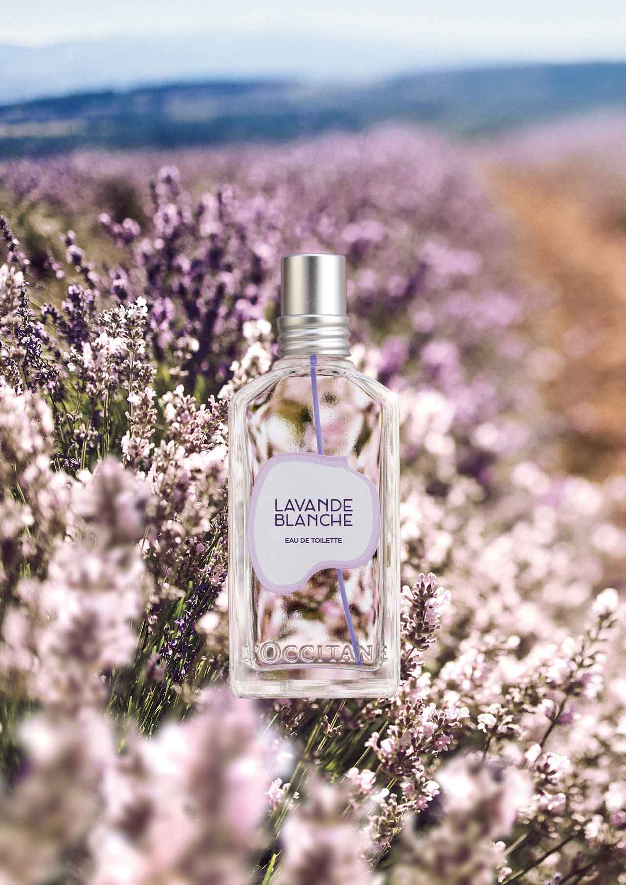 洗い立てのシーツのように。ロクシタン「ホワイトラベンダー」の香り