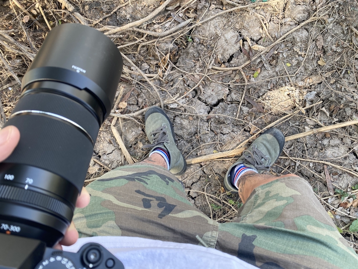 300mmの限界】X-T5にXF70-300mm f4-5.6でカワセミ撮影 - MONOKIRI 35mm