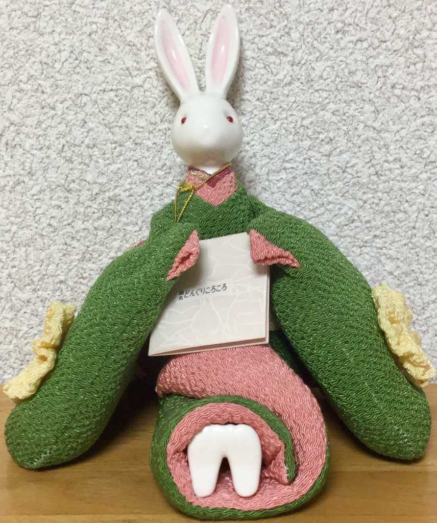 ウサギの日】我が家にいる唯一のウサギ、オルゴールの凛香はチリメン