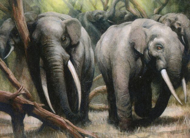 獣群の呼び声 / Call of the Herd | Magic: the Gathering MTG カード