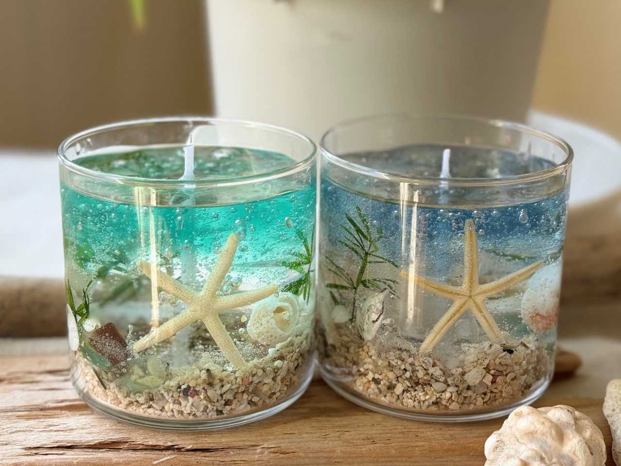 家族プラン】天草のシーグラス貝殻を使ったアロマキャンドル作り体験