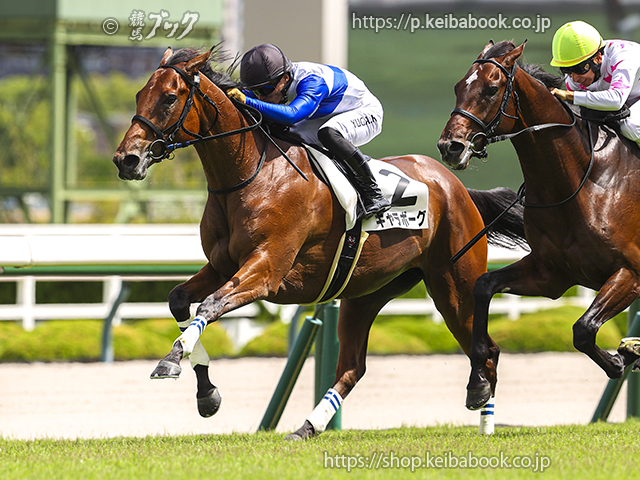 2025年度JRA賞」 フォーエバーヤングが年度代表馬に | ニュース