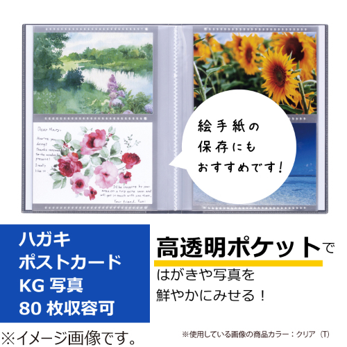 セキセイ パックン ポストカードホルダー高透明 PKH－7482 クリア