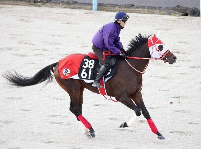 有馬記念】06年ディープインパクト 11万人超の観客の目に焼き付け